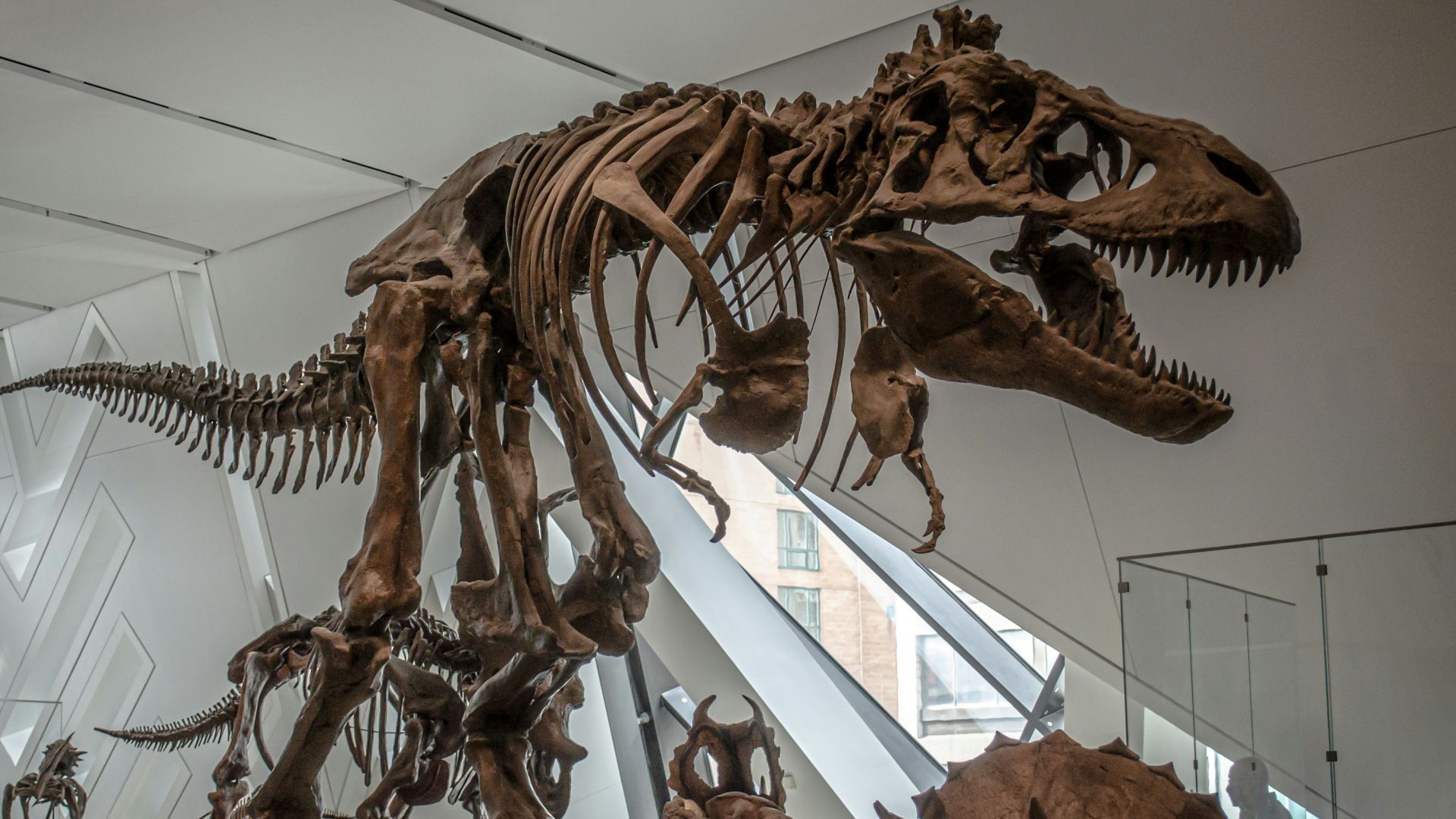 10 Myths About Dinosaurs We Need to Stop Believing and 10 Incredible Facts