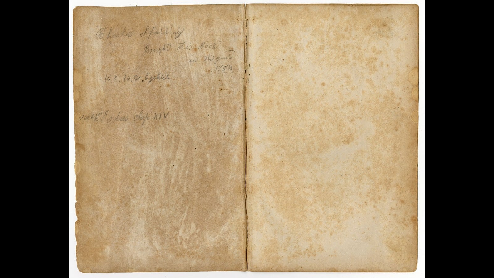 3. The Family Bible Page Courts Actually Believed