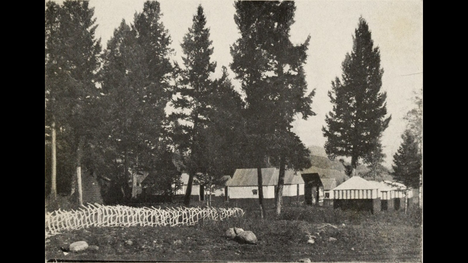 2. Le parc de Yellowstone a appris aux familles à nourrir les ours depuis leur voiture
