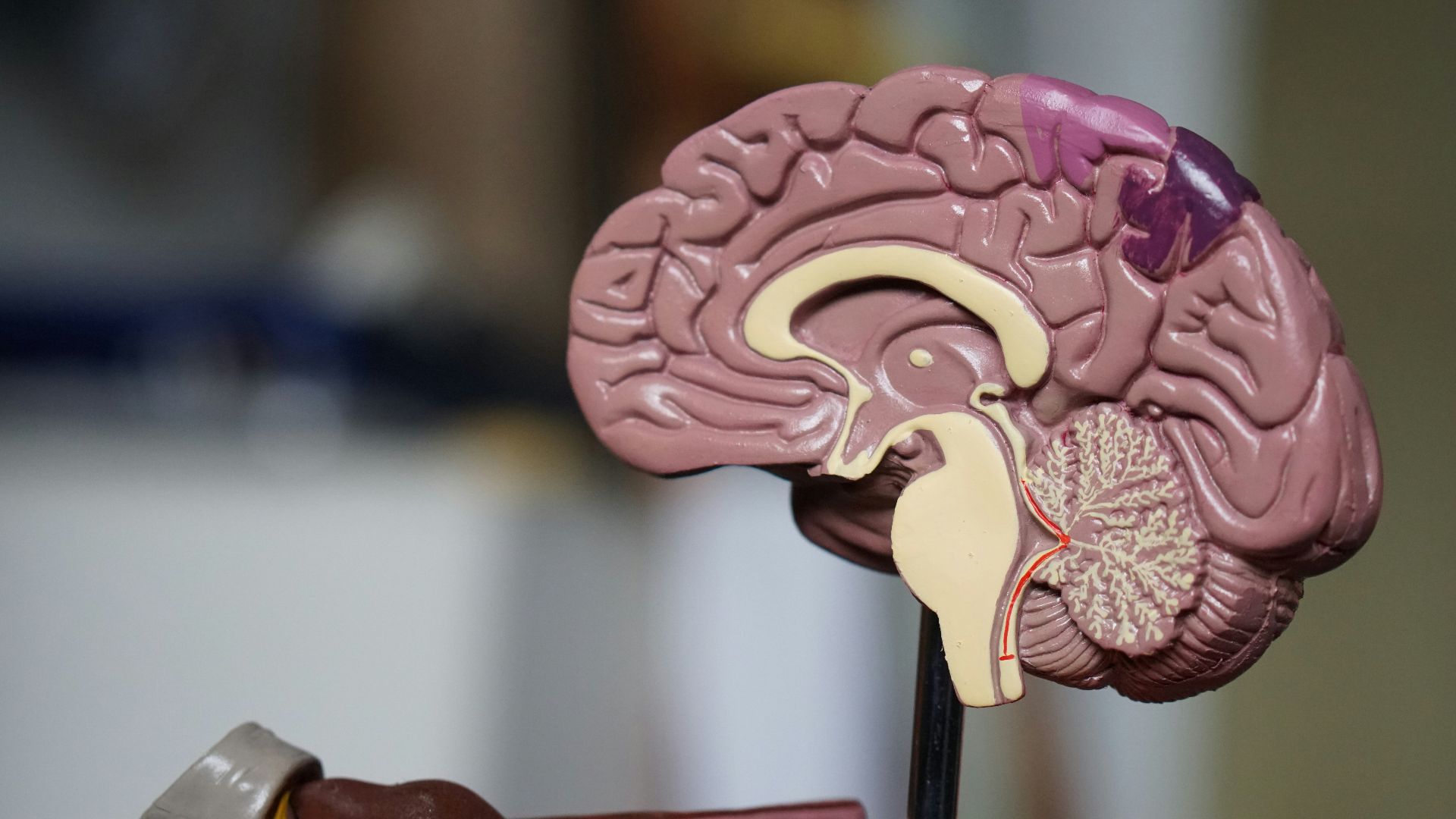15. Téléphones portables et cancer du cerveau