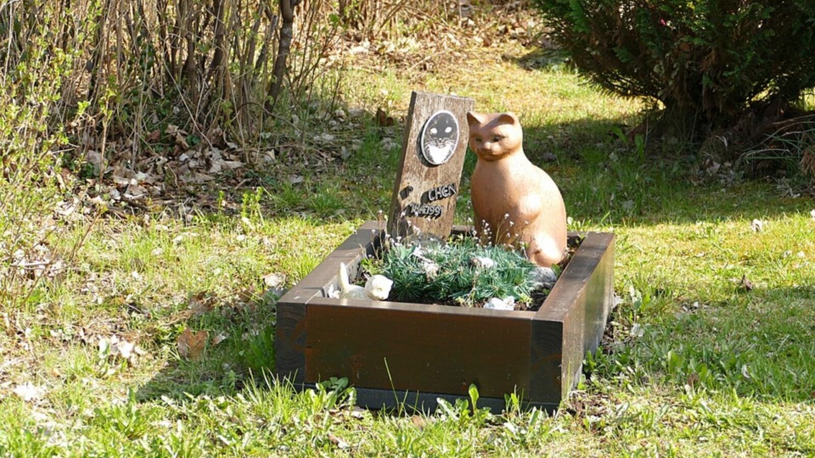 19. Some Cats Got Their Own Cemeteries And Offerings