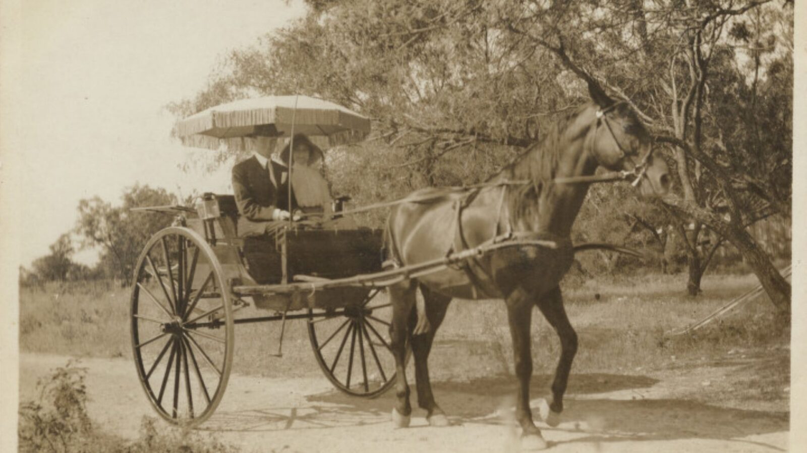 14. L'ombrelle de calèche était dotée d'une charnière pour une bonne raison