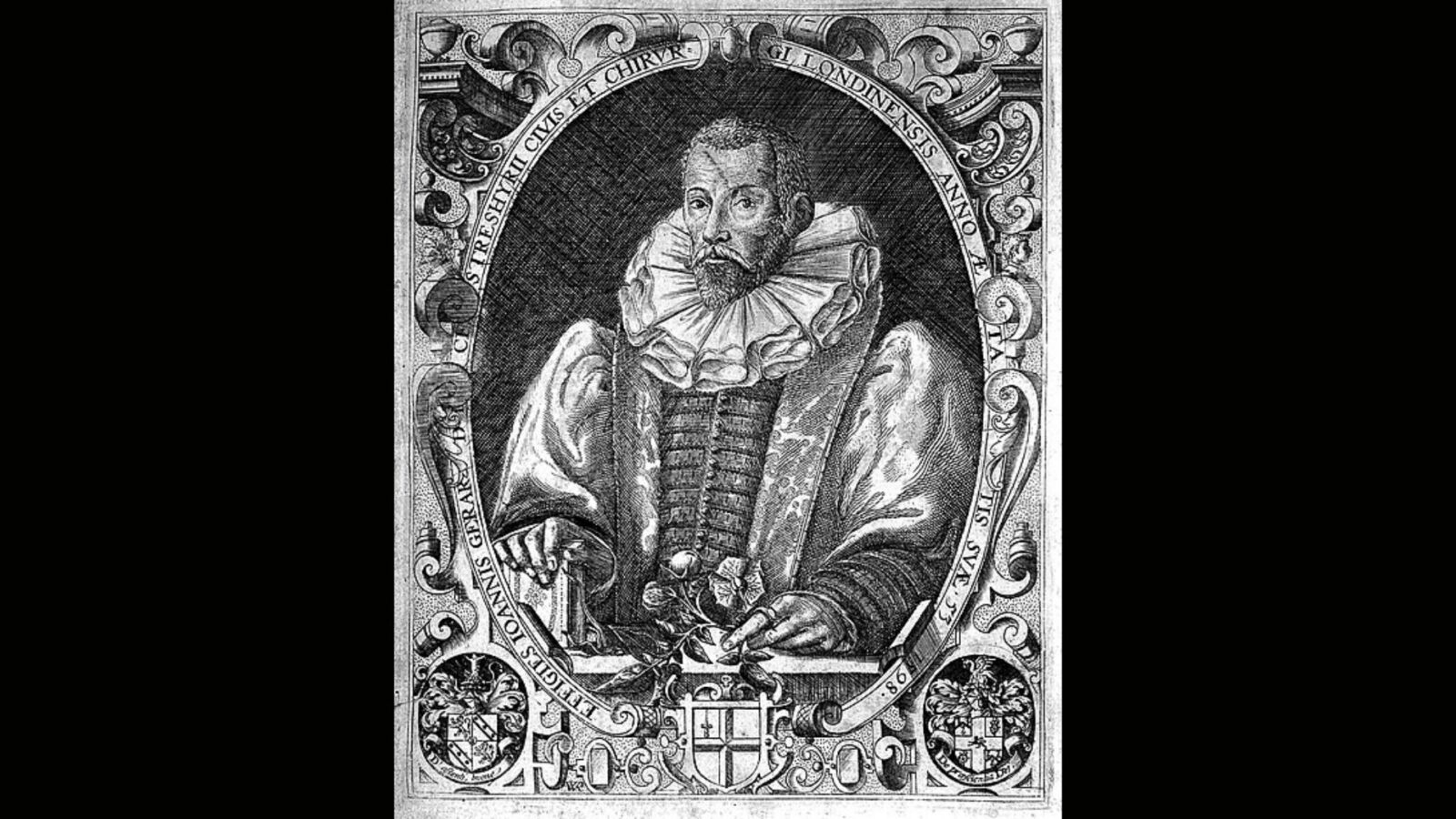 11. John Gerard n'a pas, à lui seul, causé la ruine de la culture de la tomate en Angleterre