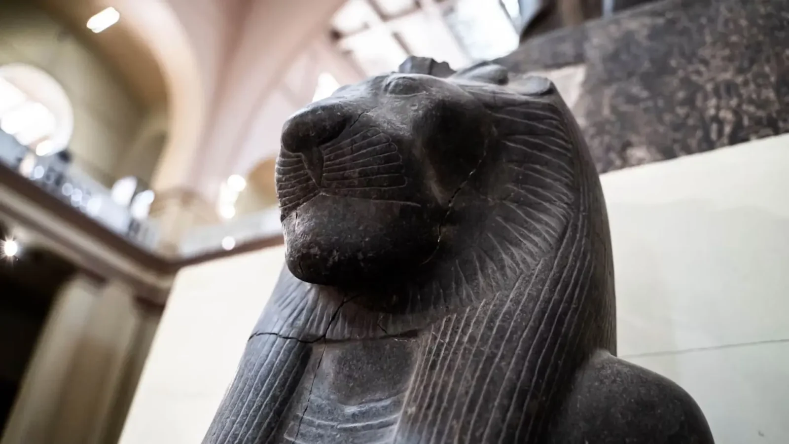 6. Egyptians Fed Their Cats Like Royalty