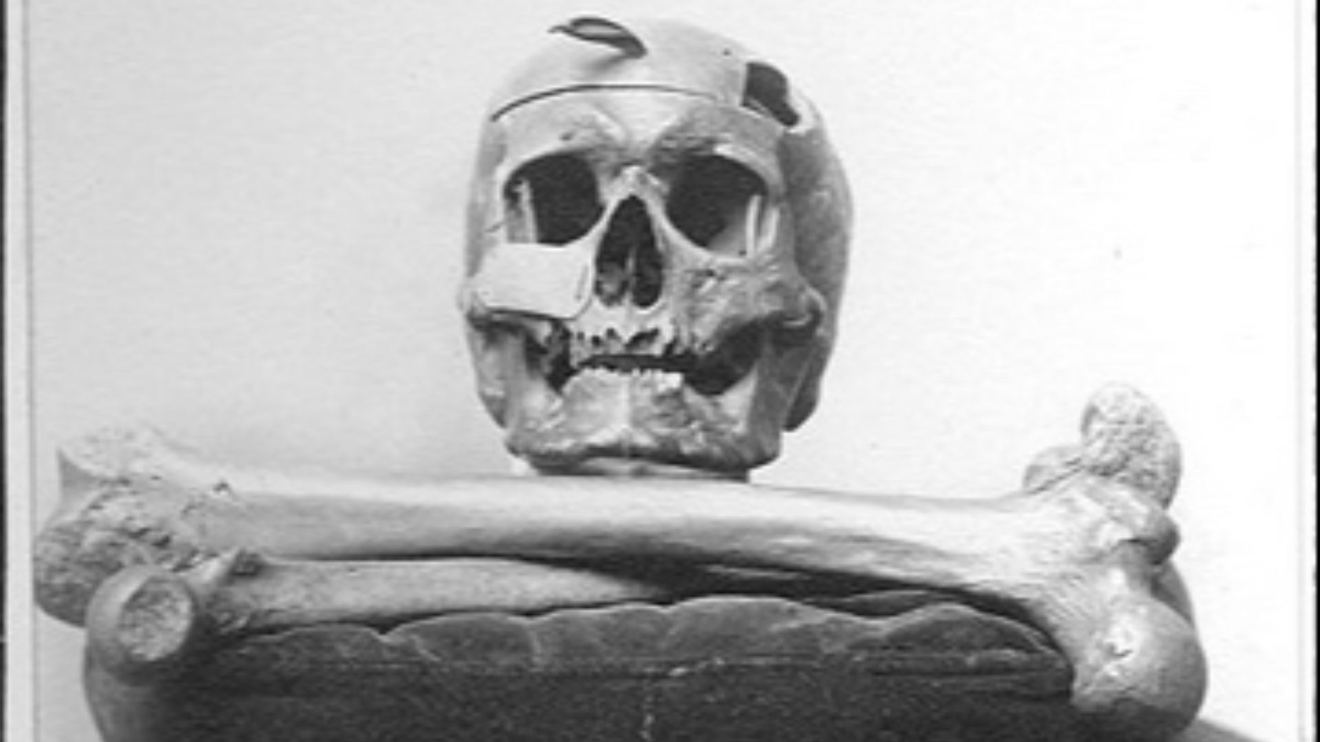 20 Secret Societies That Actually Existed