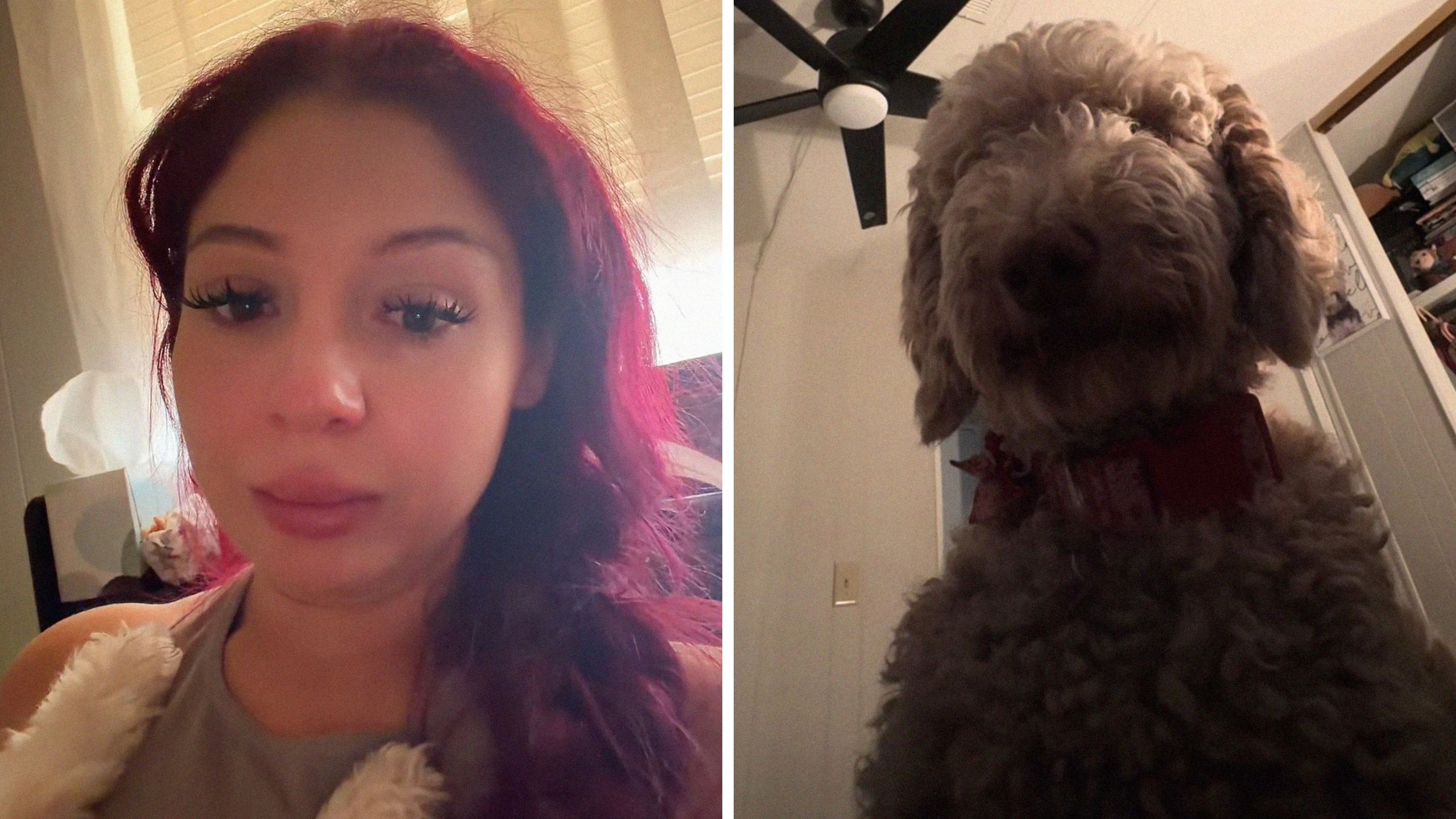 California woman plays with her dog after eating. This proves fatal: ‘If I can help just one person’