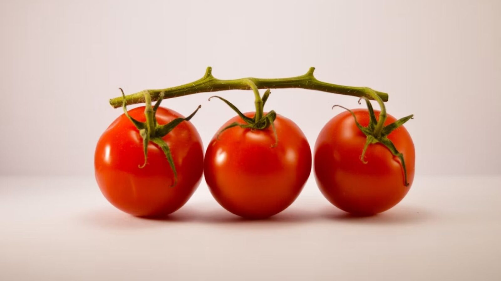 1. Les tomates sont arrivées en Europe au XVIe siècle