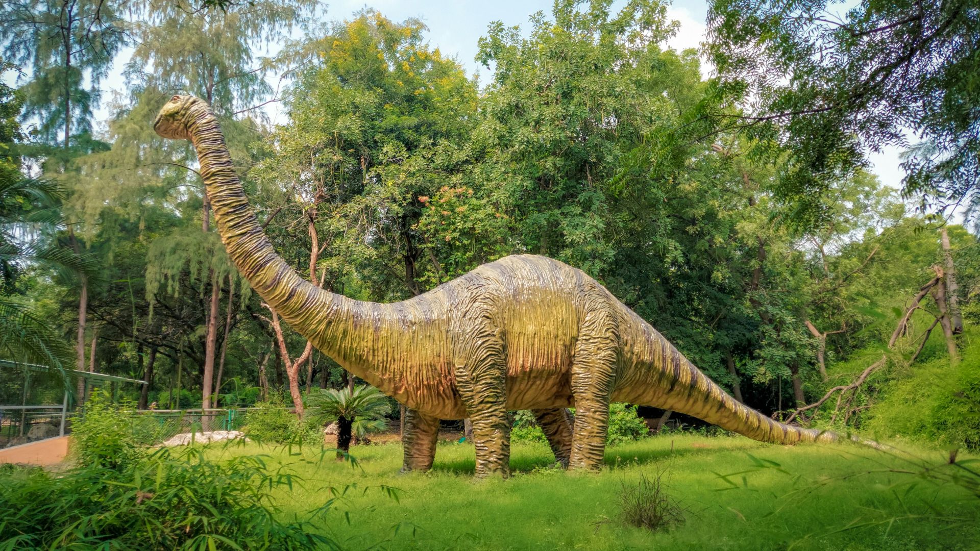 4. Le T. rex vivait au Jurassique