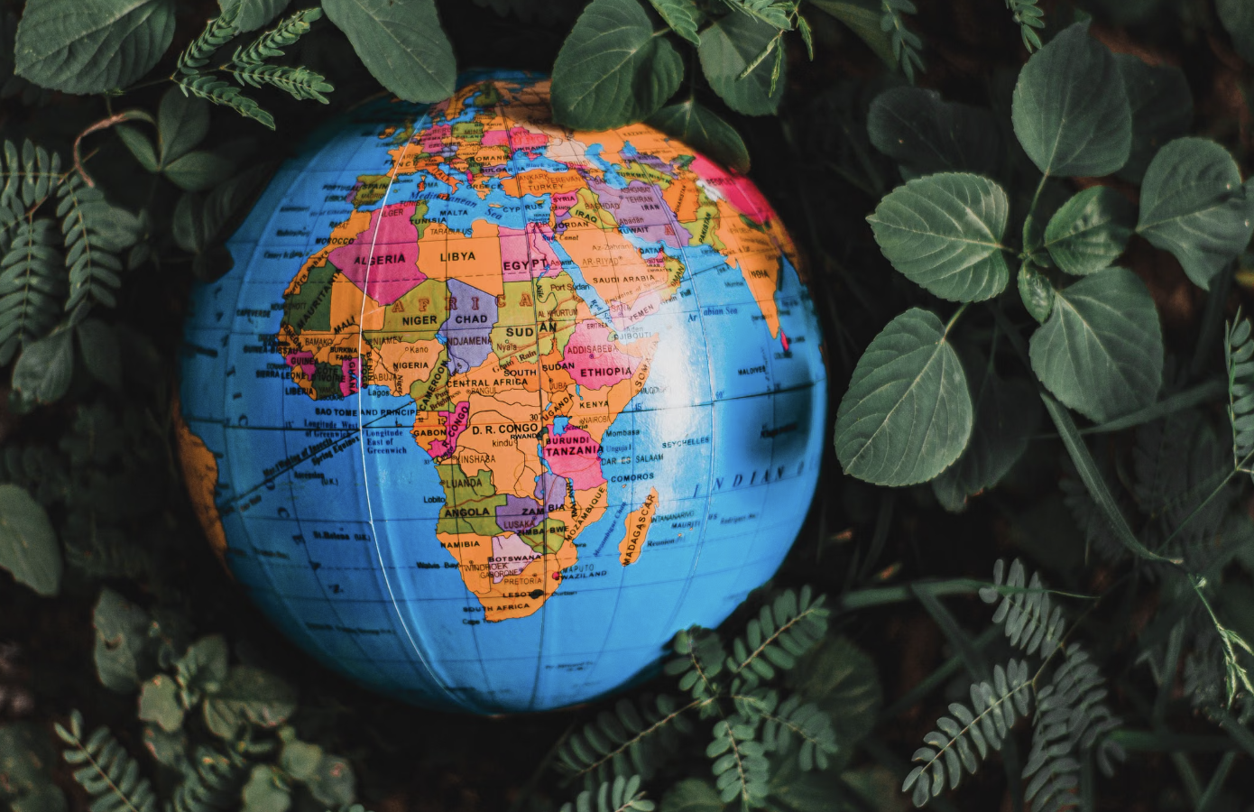 7. Birds Came From All Over The World