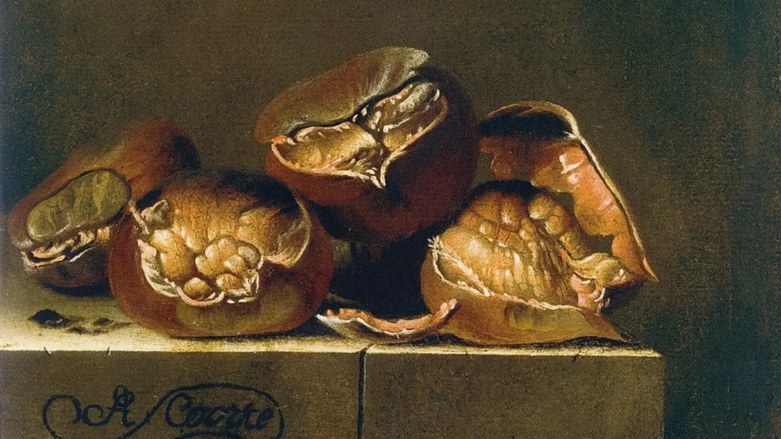 14. Appalachia Ran On Chestnuts Called Shoe Money