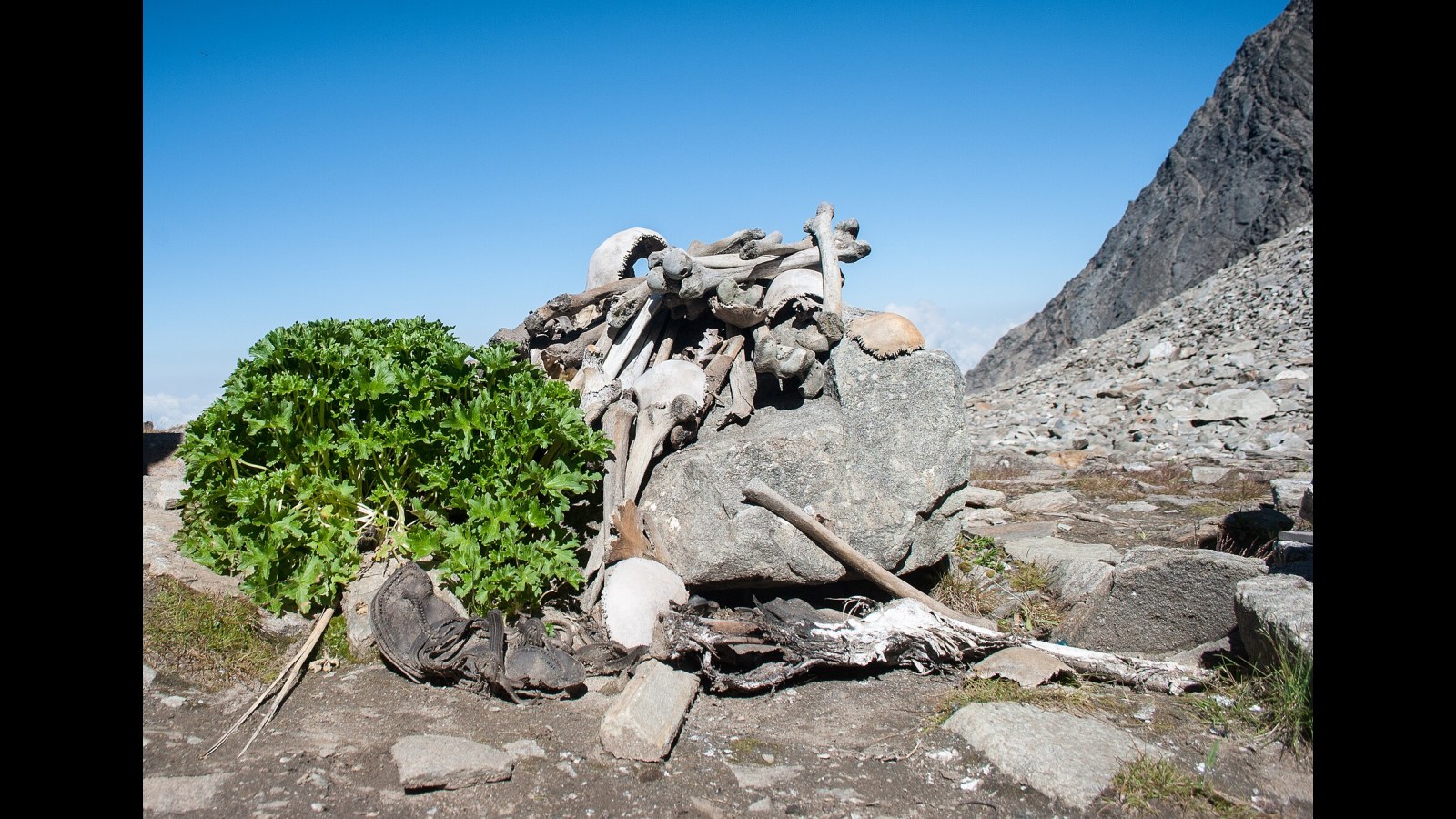 4. Roopkund's Skeleton Lake Holds Two Disasters, Not One