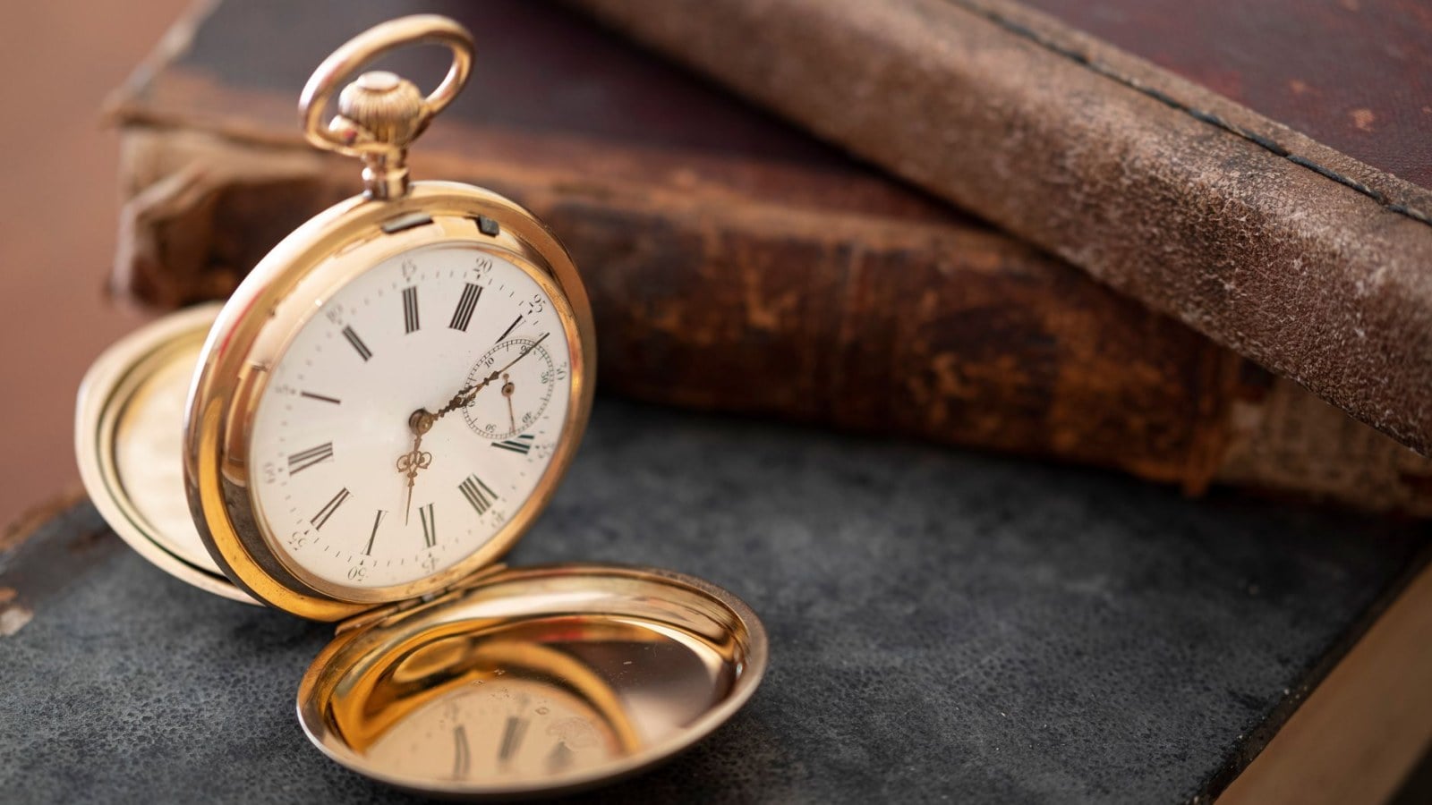 13. The Almanac You Wrote In As Much As You Read