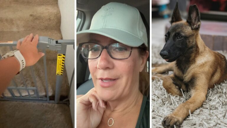 Woman rescues Belgian Malinois. Then she tries to put up a gate to keep him downstairs