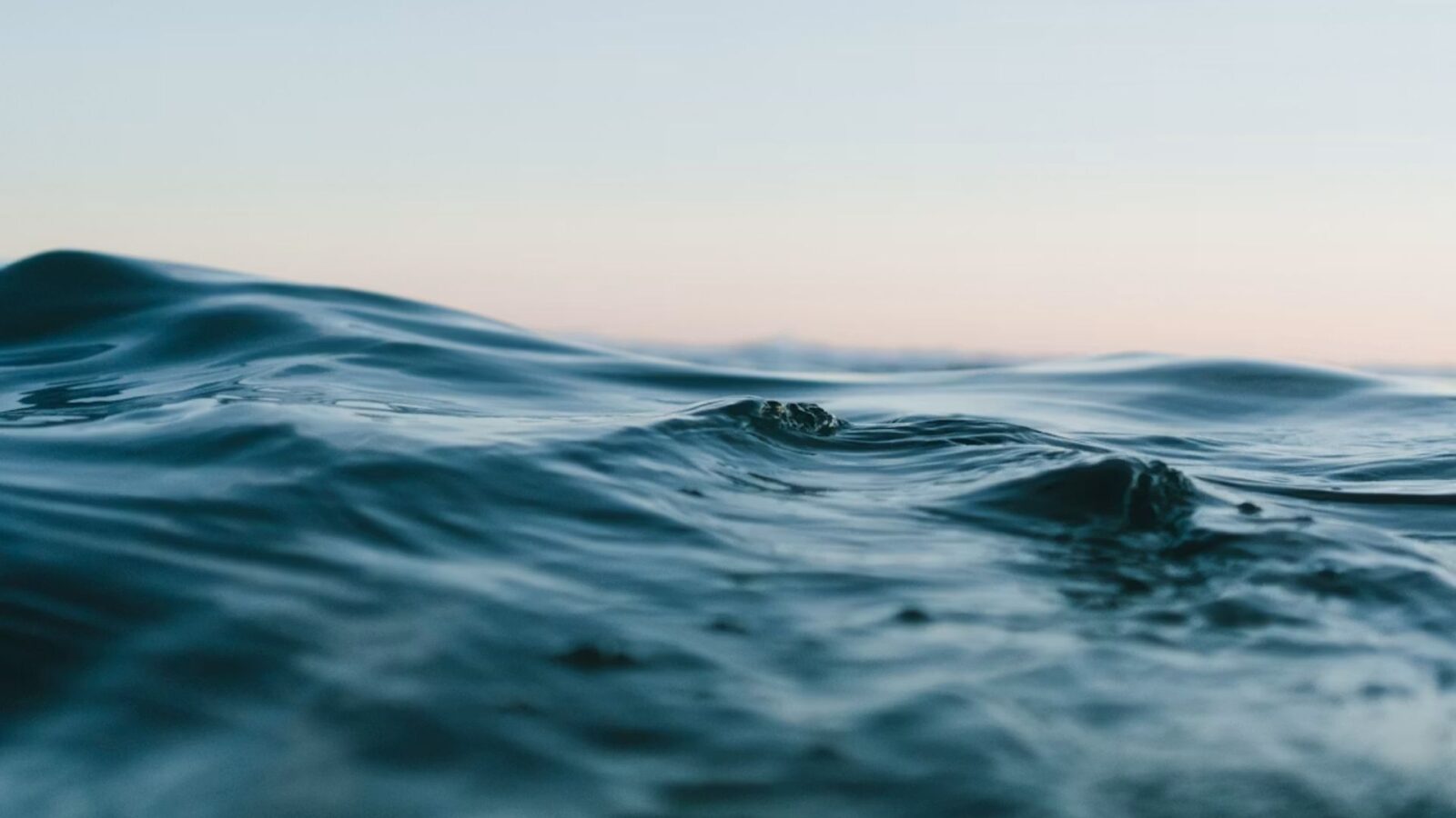 8. Les patients buvaient de l'eau de mer mélangée à du lait et du miel