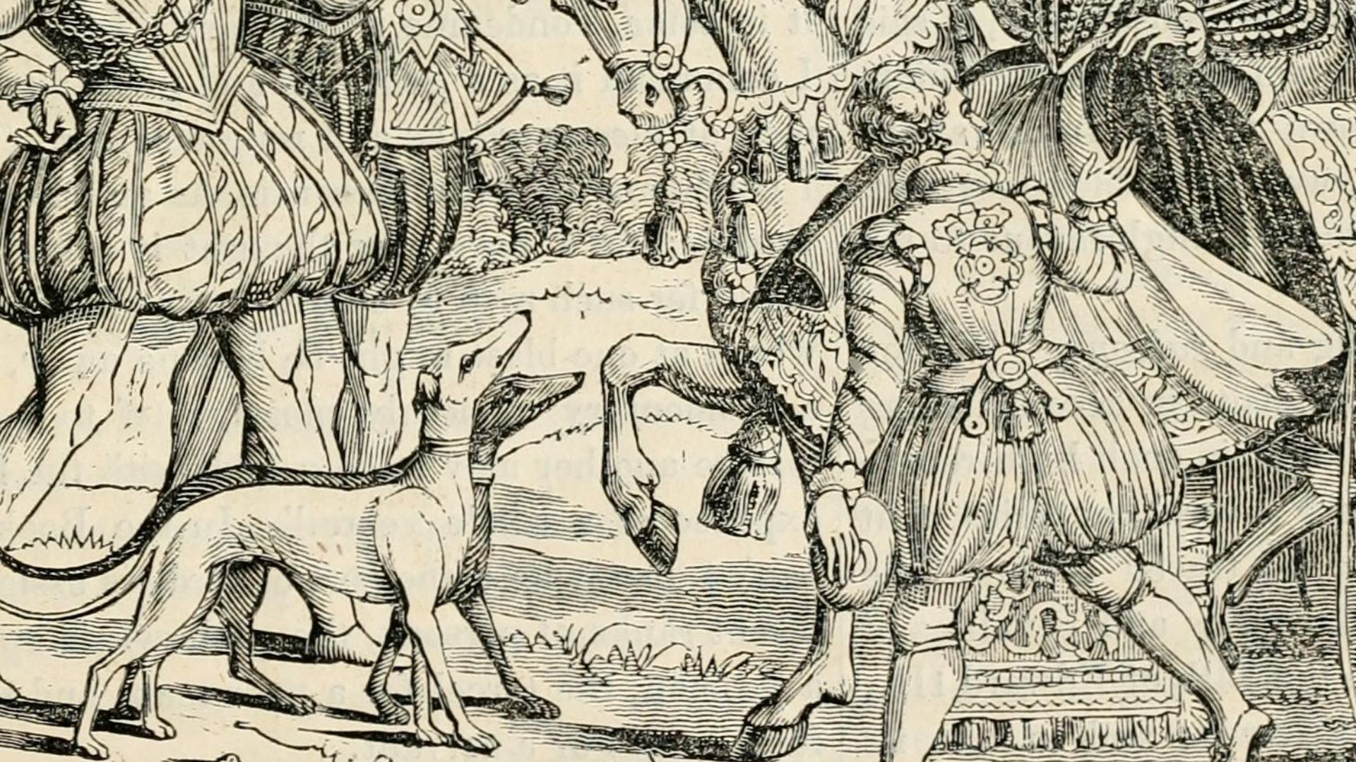 7. Cocker spaniel