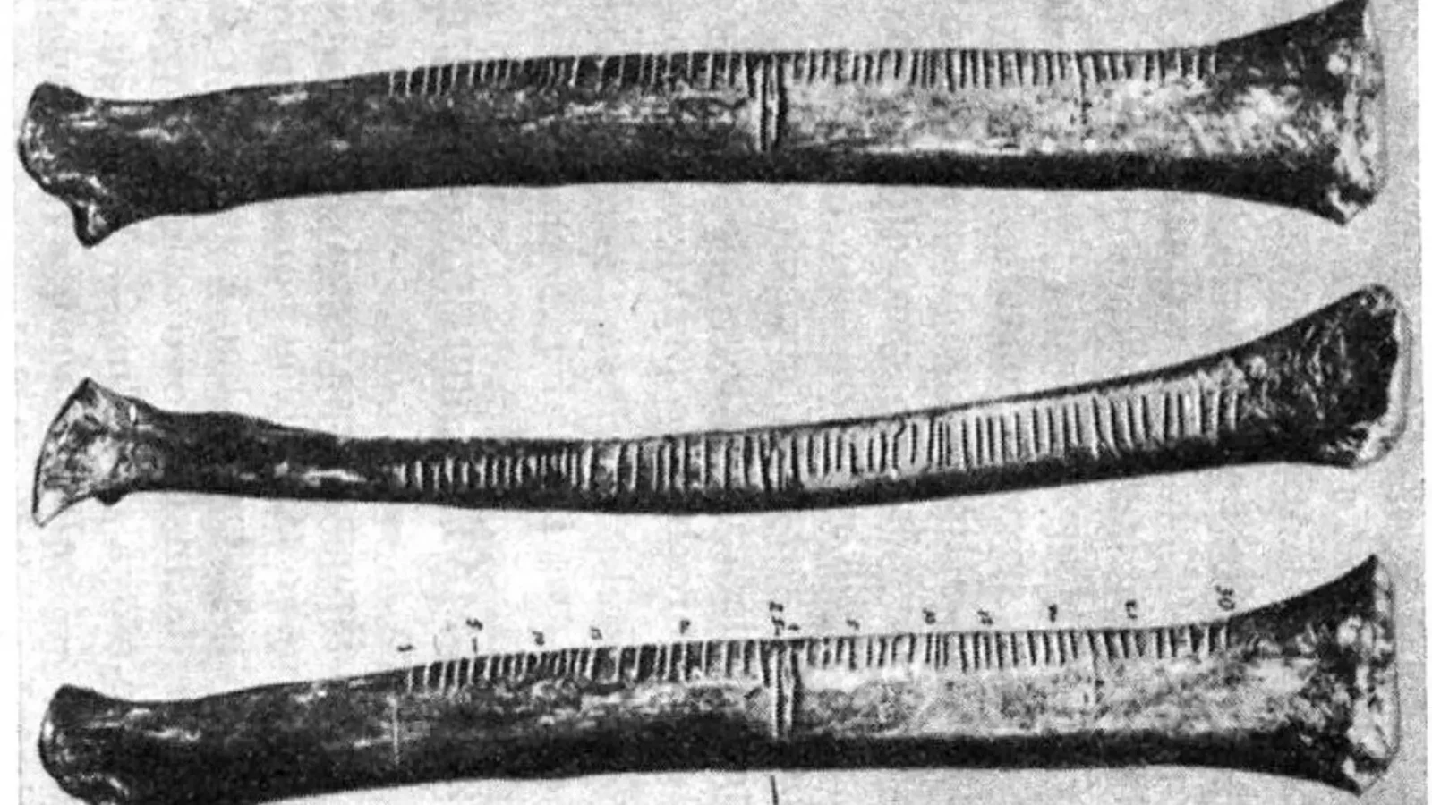 13. Ireland's Tally Stick Counted Every Irish Word