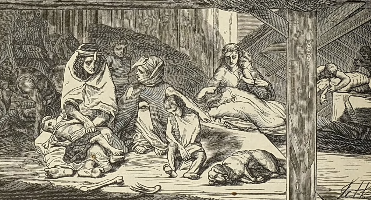 8. Les médecins utilisaient des cornes de licorne pour soigner la peste