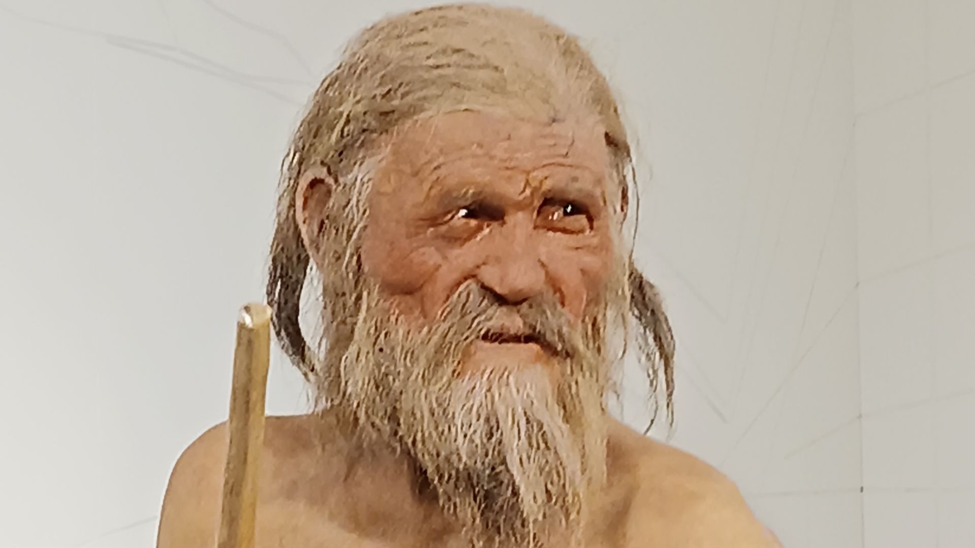 20. Ötzi, l'homme des glaces