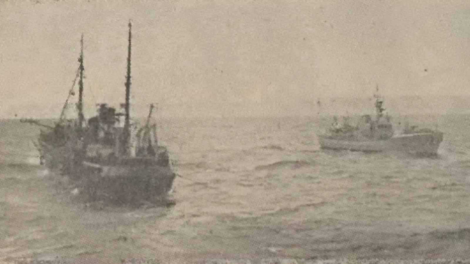 13. Iceland And Britain Fought The Cod Wars Over Fish