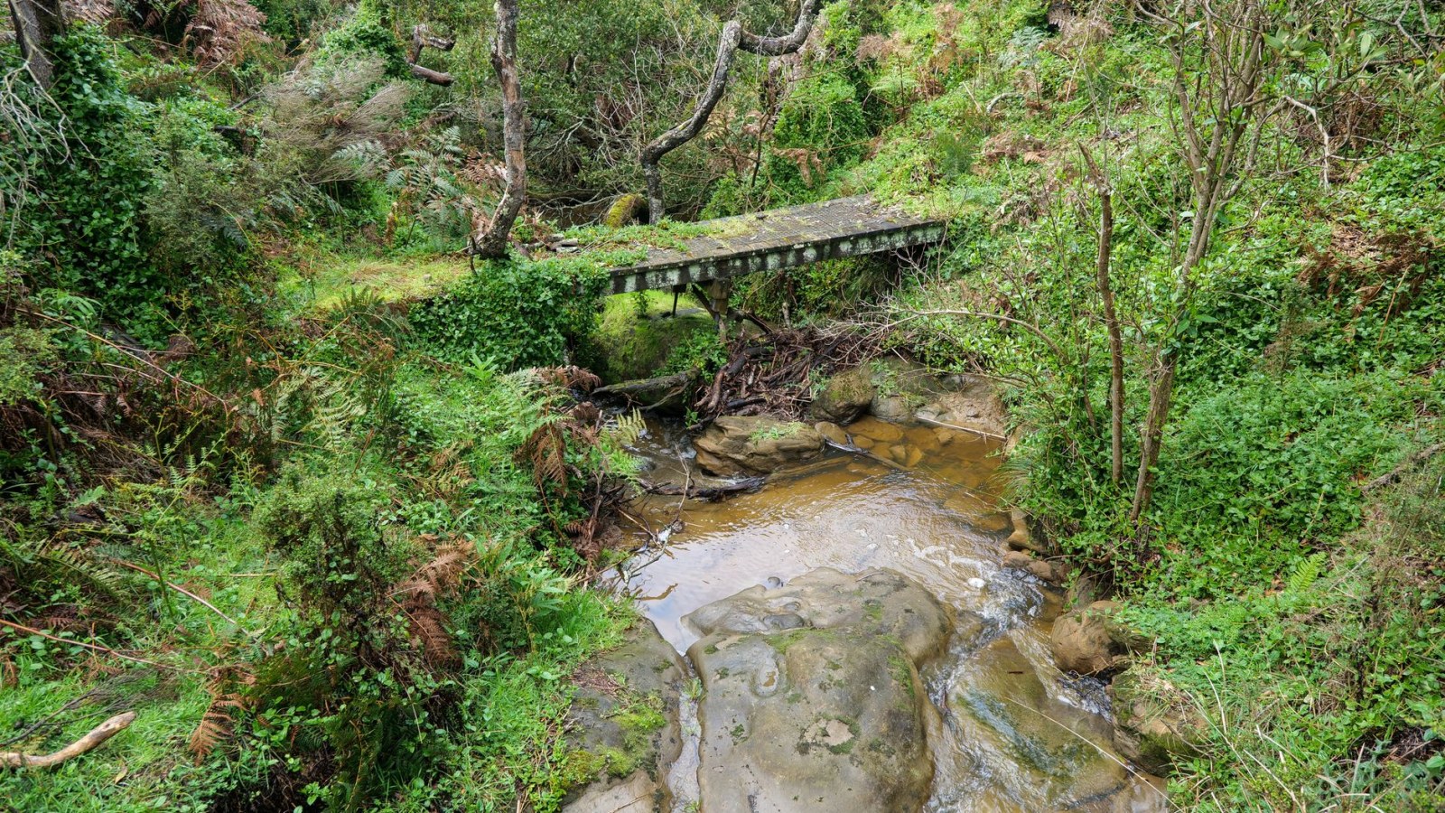 7. Le fantôme de Fisher a indiqué un ruisseau : les taches de sang ont fait le reste