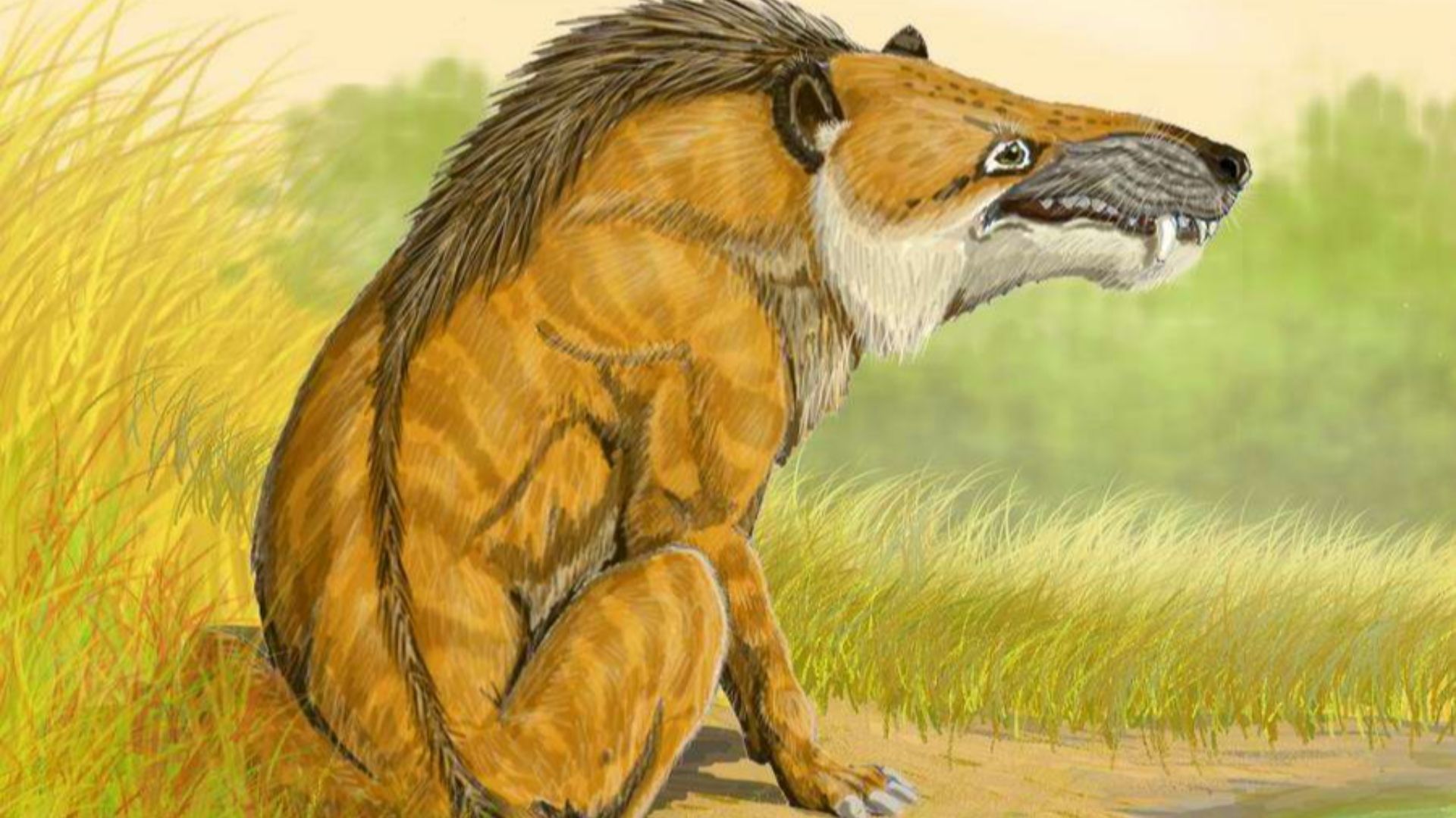 20. L'Andrewsarchus était un immense mystère
