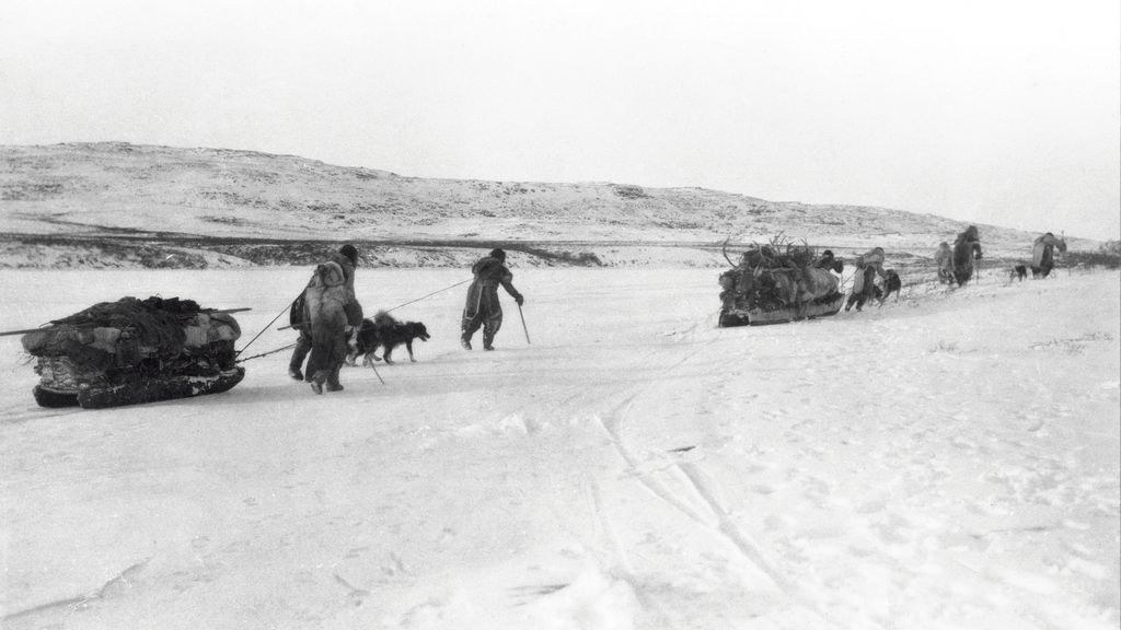 18. Les voyageurs inuits interprètent la couleur de la glace, les chiens s'occupent du reste