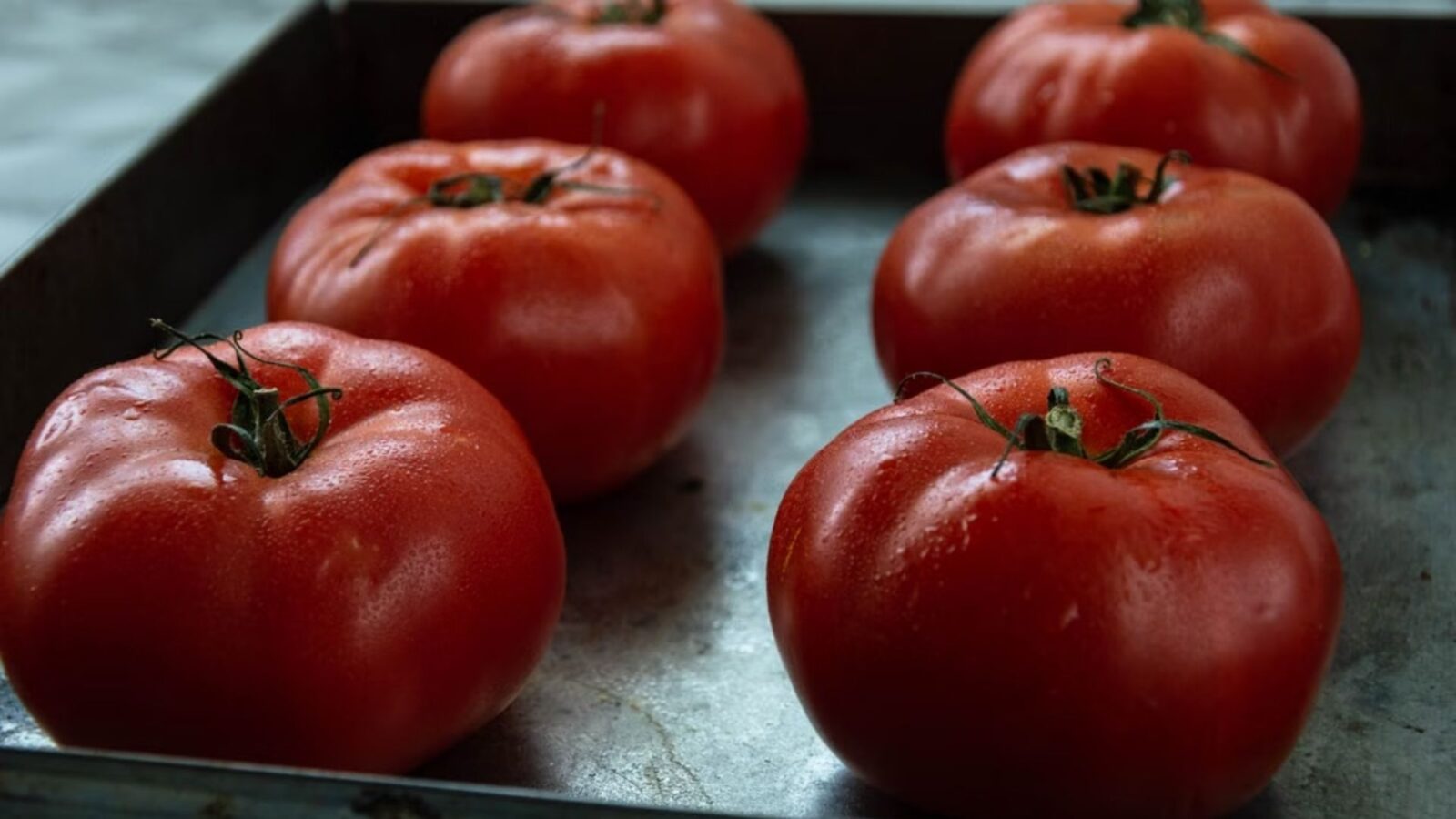 9. L'aspic à la tomate a fait le travail un jour plus tôt