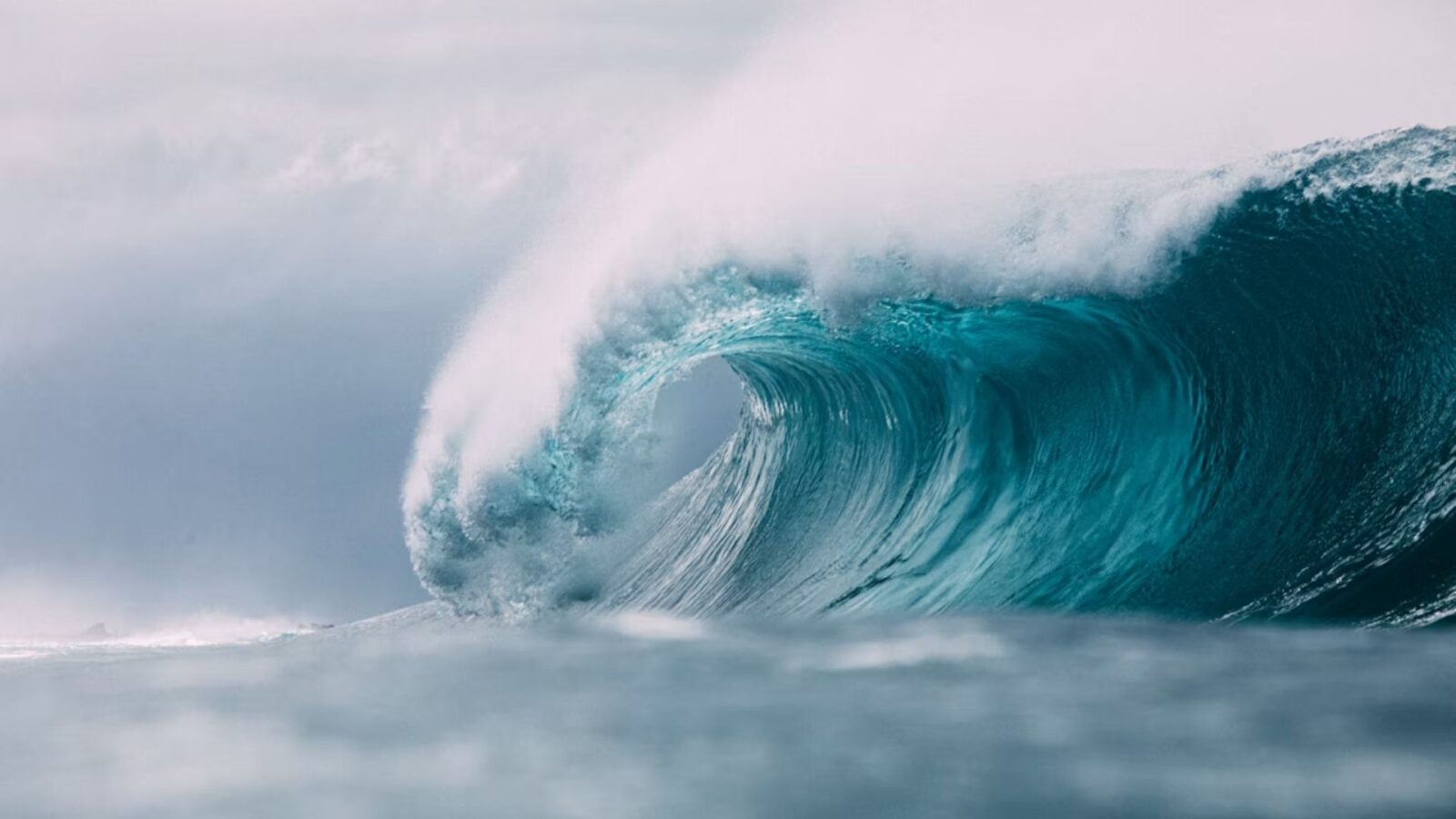 7. Non, les soldats n'ont en réalité jamais poignardé les vagues