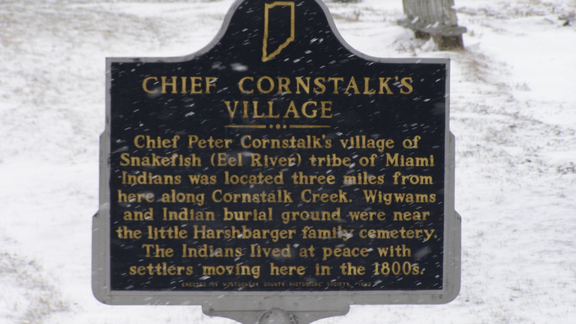 8. Le chef Cornstalk