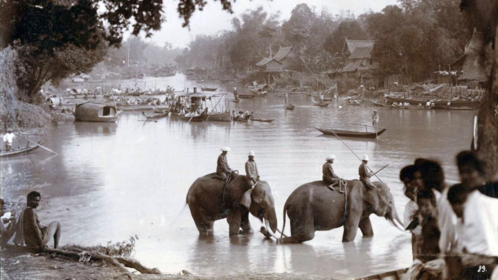 4. Mongkut's Elephants Were For Logging, Not Combat
