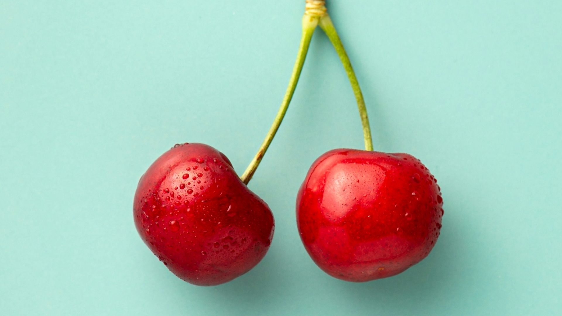 11. Les fruits
