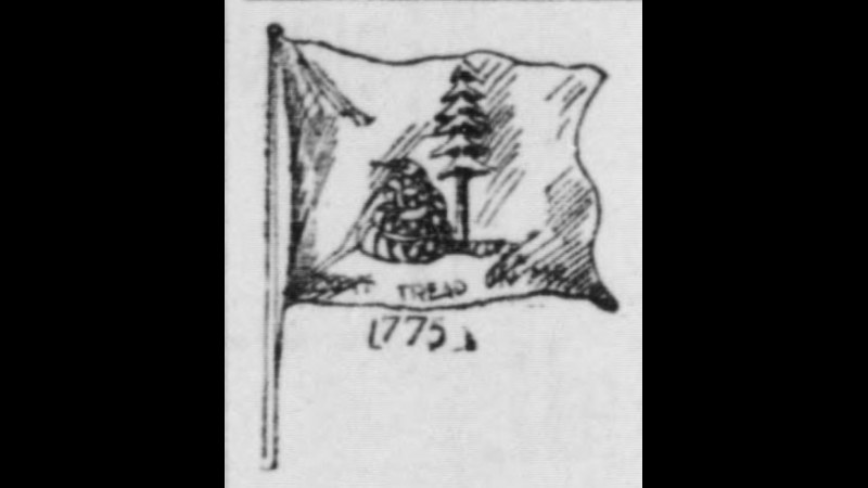 10. Benjamin Franklin's Snake Became A Flag