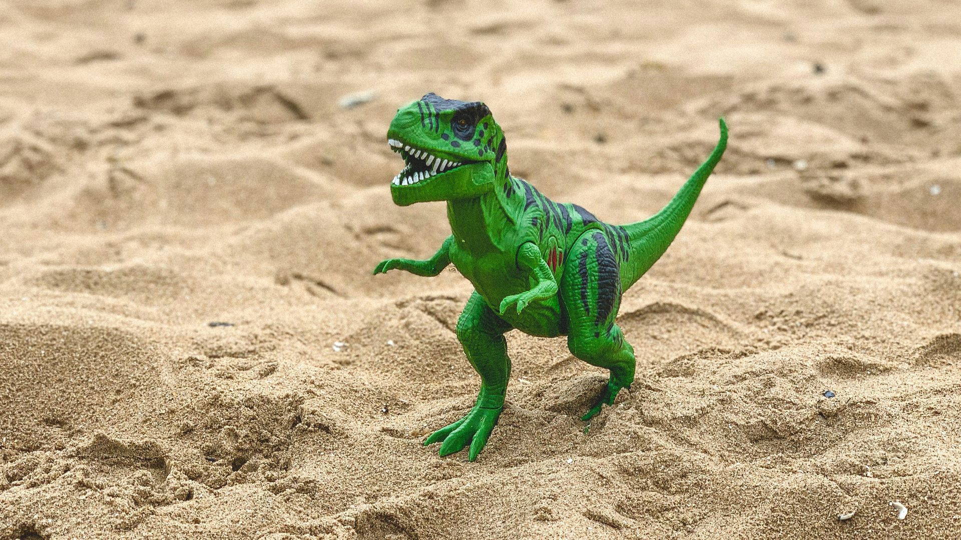 7. Tous les dinosaures étaient des animaux à sang froid