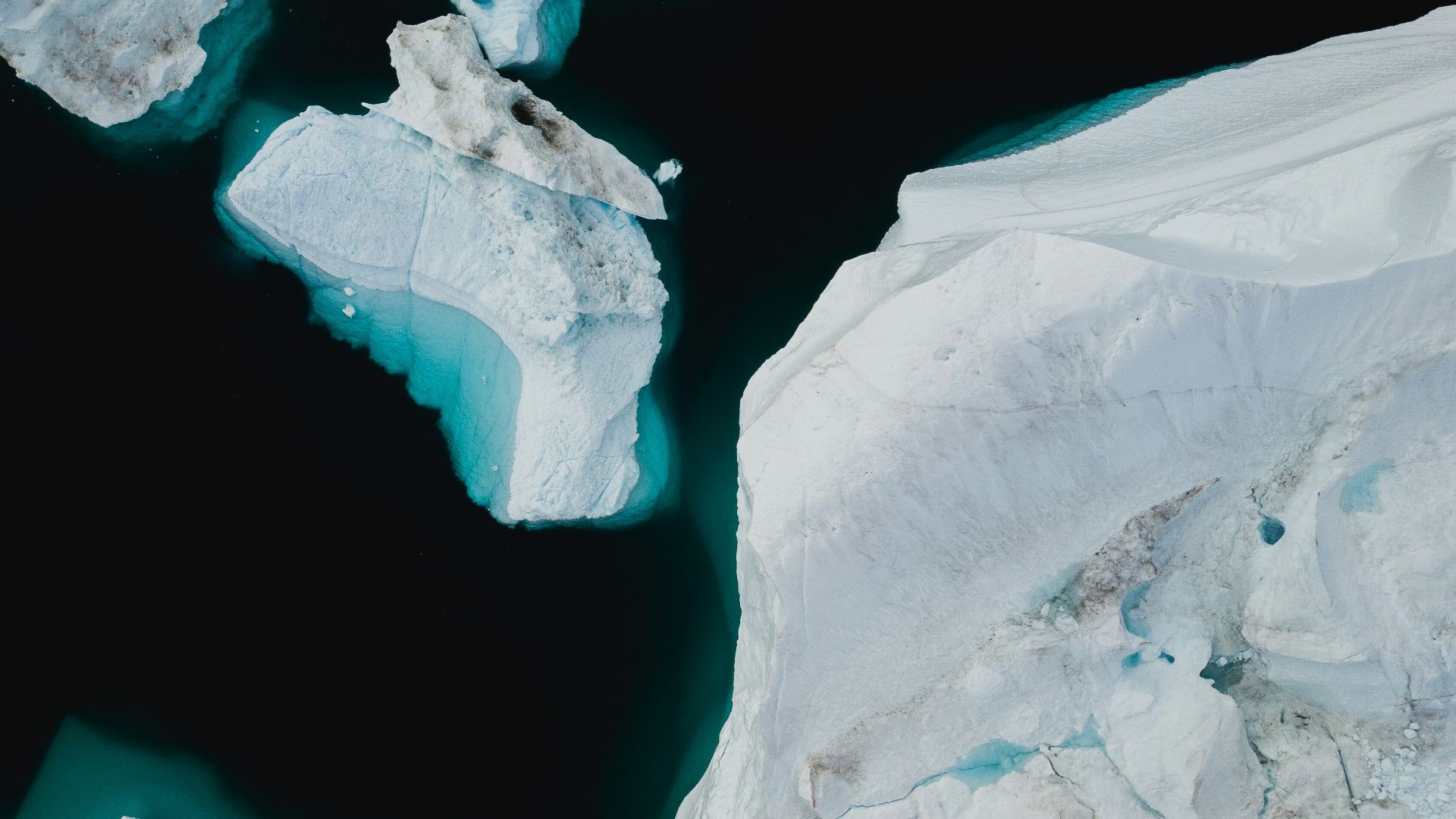14. Le changement climatique fait toujours partie du débat sur l'extinction