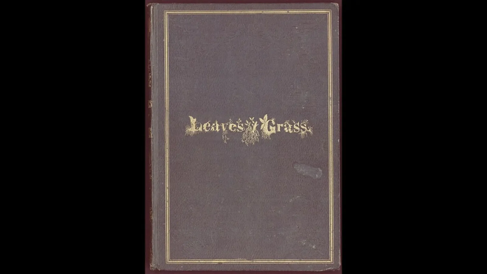 18. Leaves Of Grass: "Banned In Boston" Sells Out Instantly