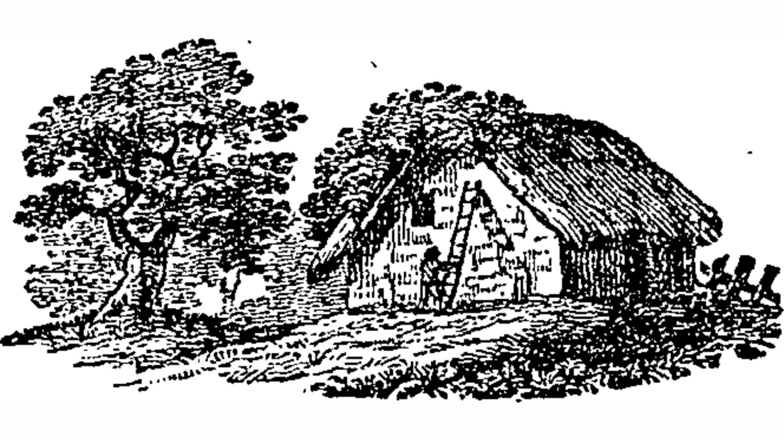 11. A Similar Version Showed Up Decades Earlier In Zimmermann's Solitude