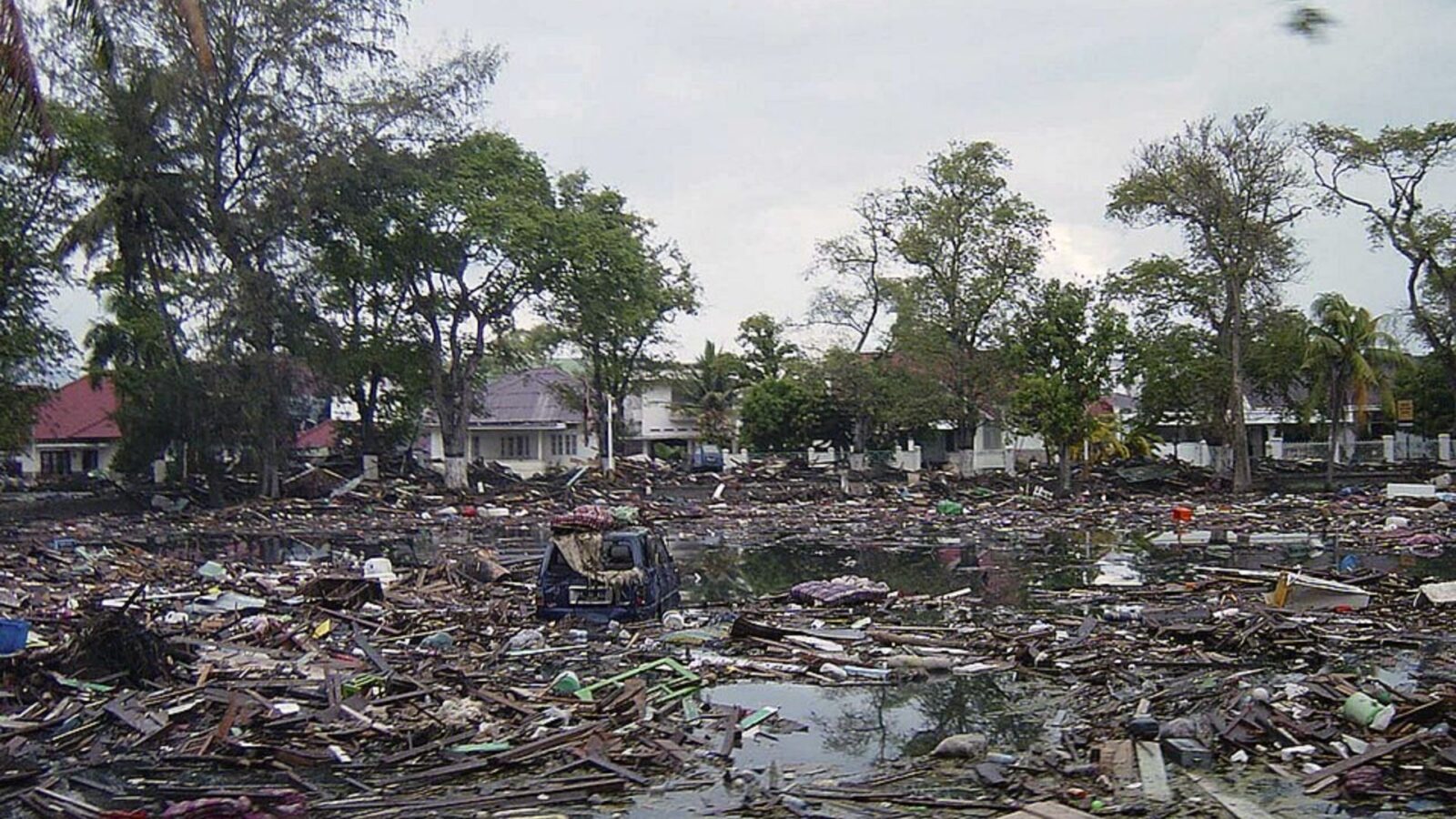 20. Ari Afrizal a dérivé sur un radeau pendant deux semaines après un tsunami