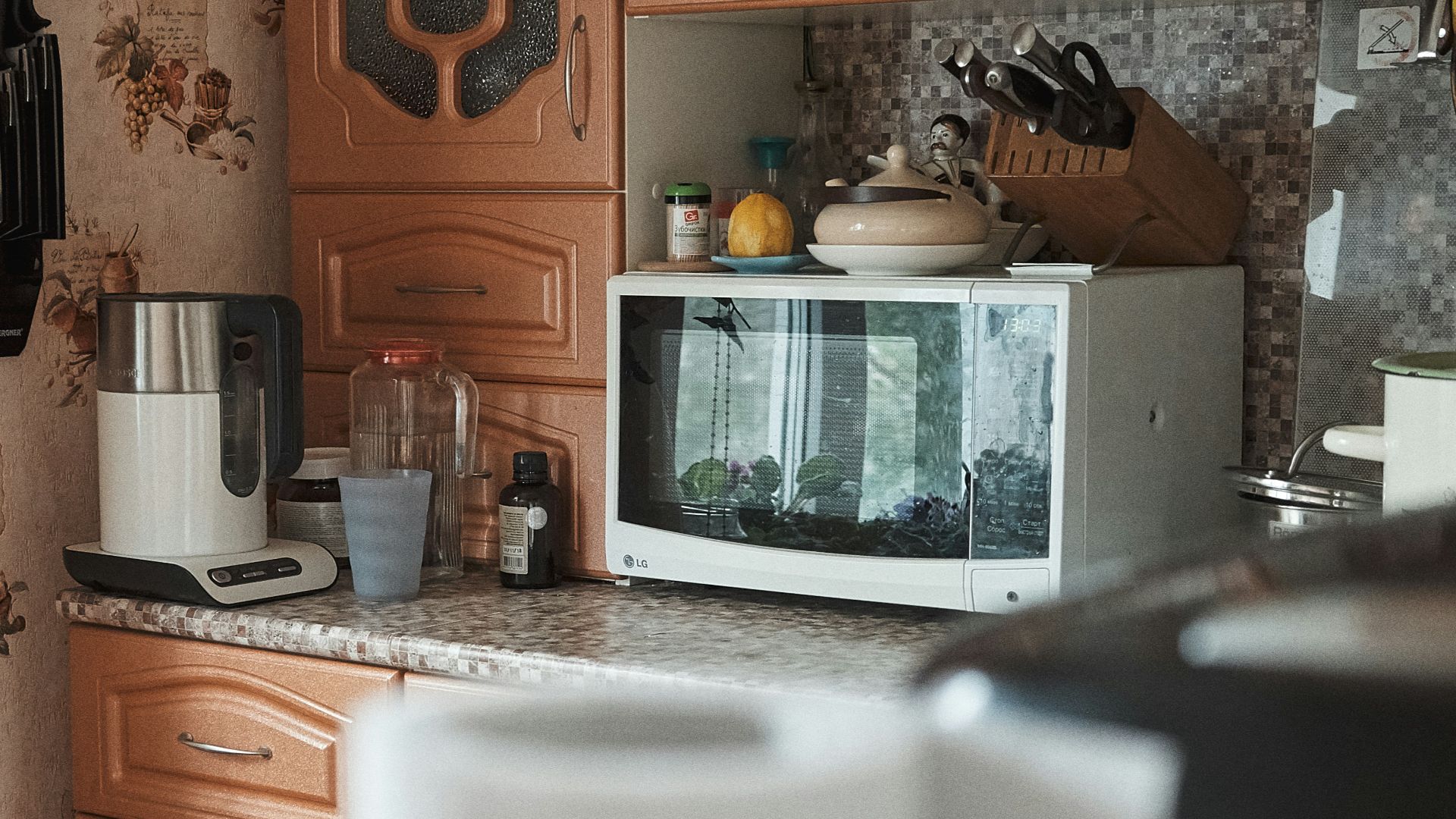 3. Fours à micro-ondes