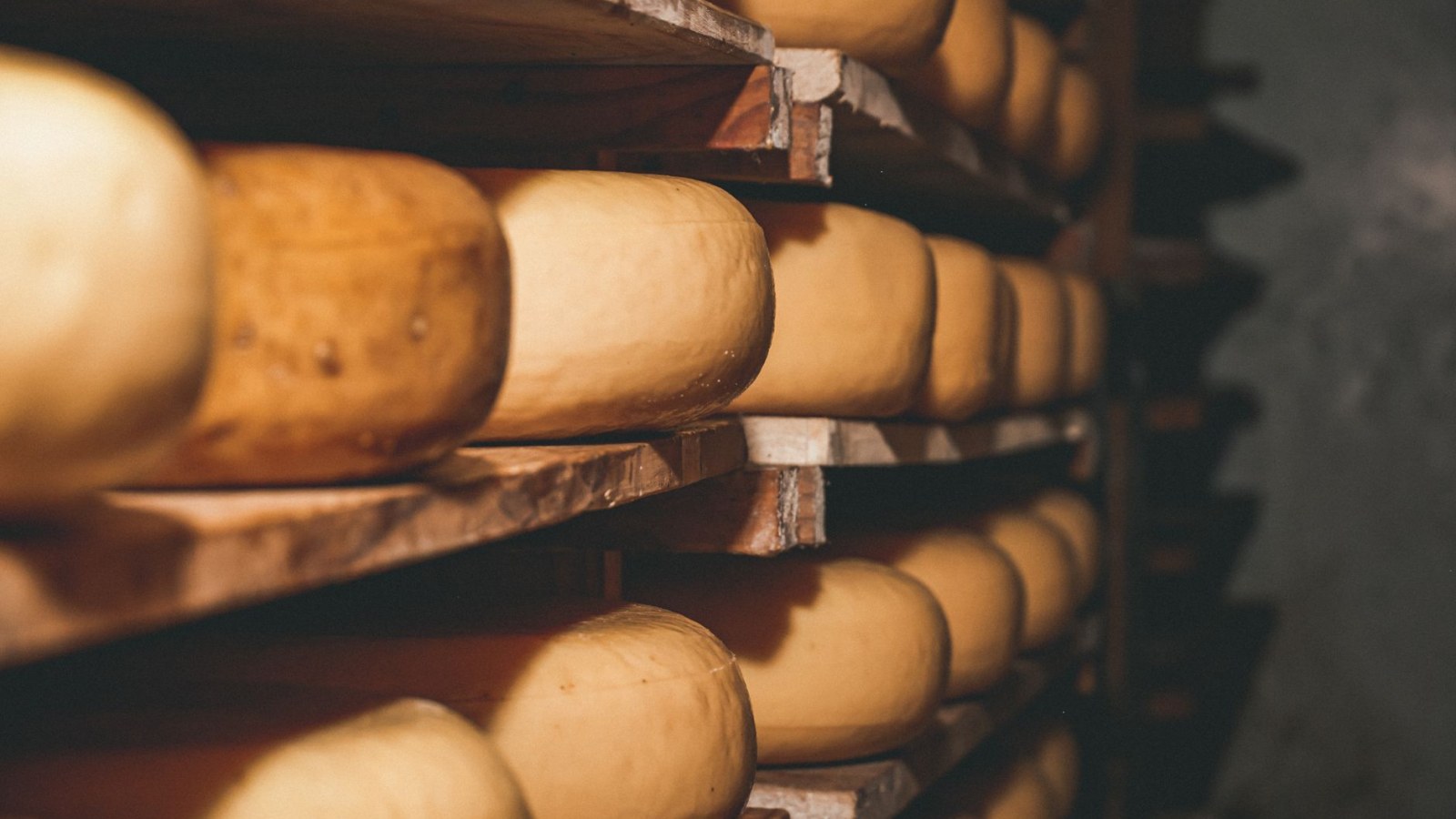 1. Le fromage qui a dû survivre en premier