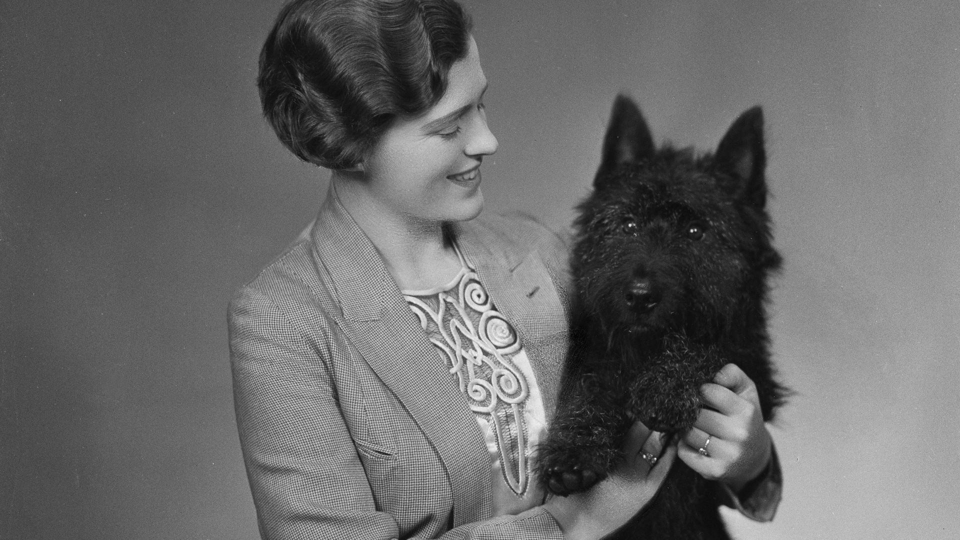10 races de chiens qui étaient plus populaires il y a 100 ans et 10 qui étaient délaissées