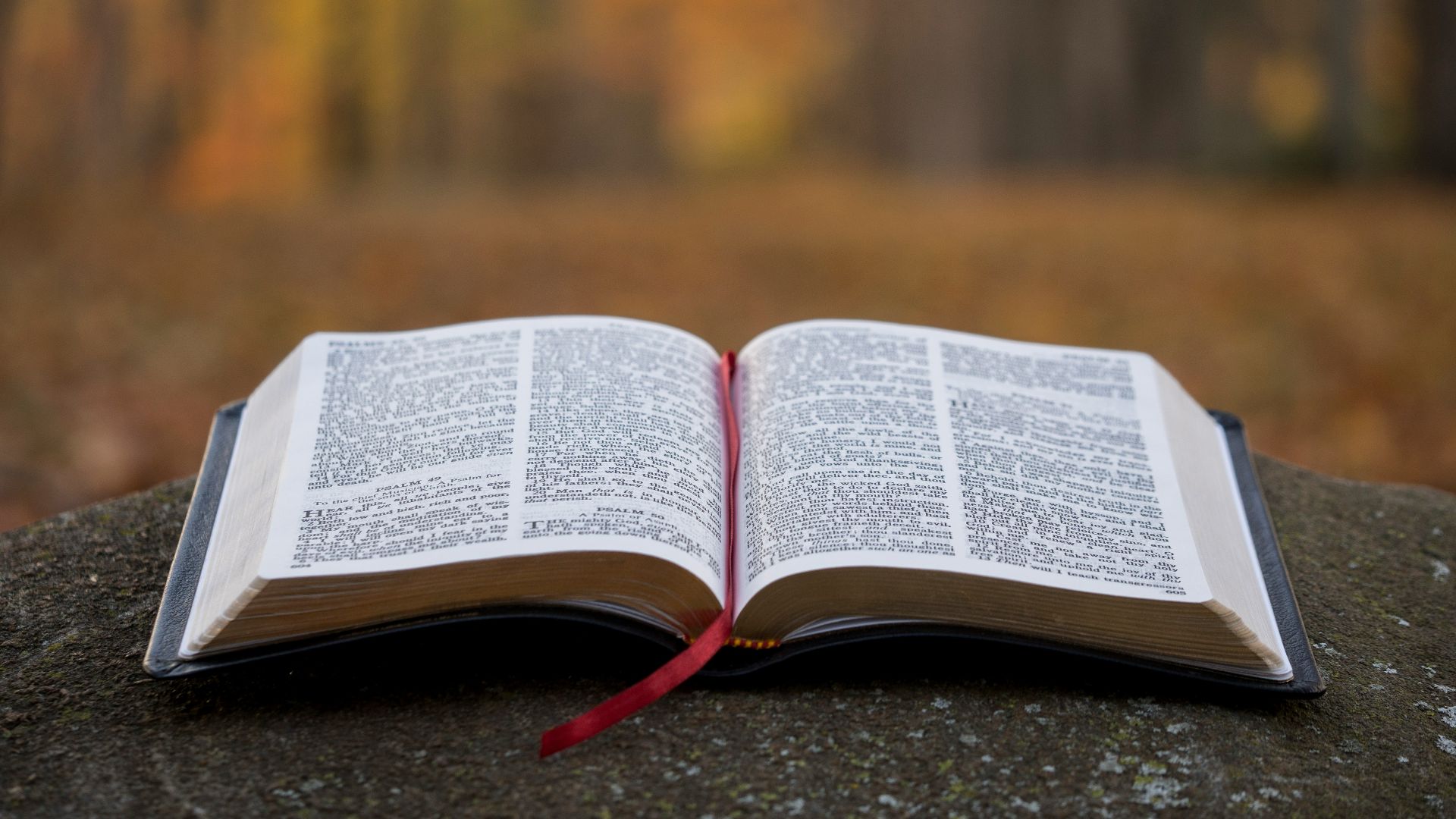 2. Les gens ordinaires devraient pouvoir lire la Bible