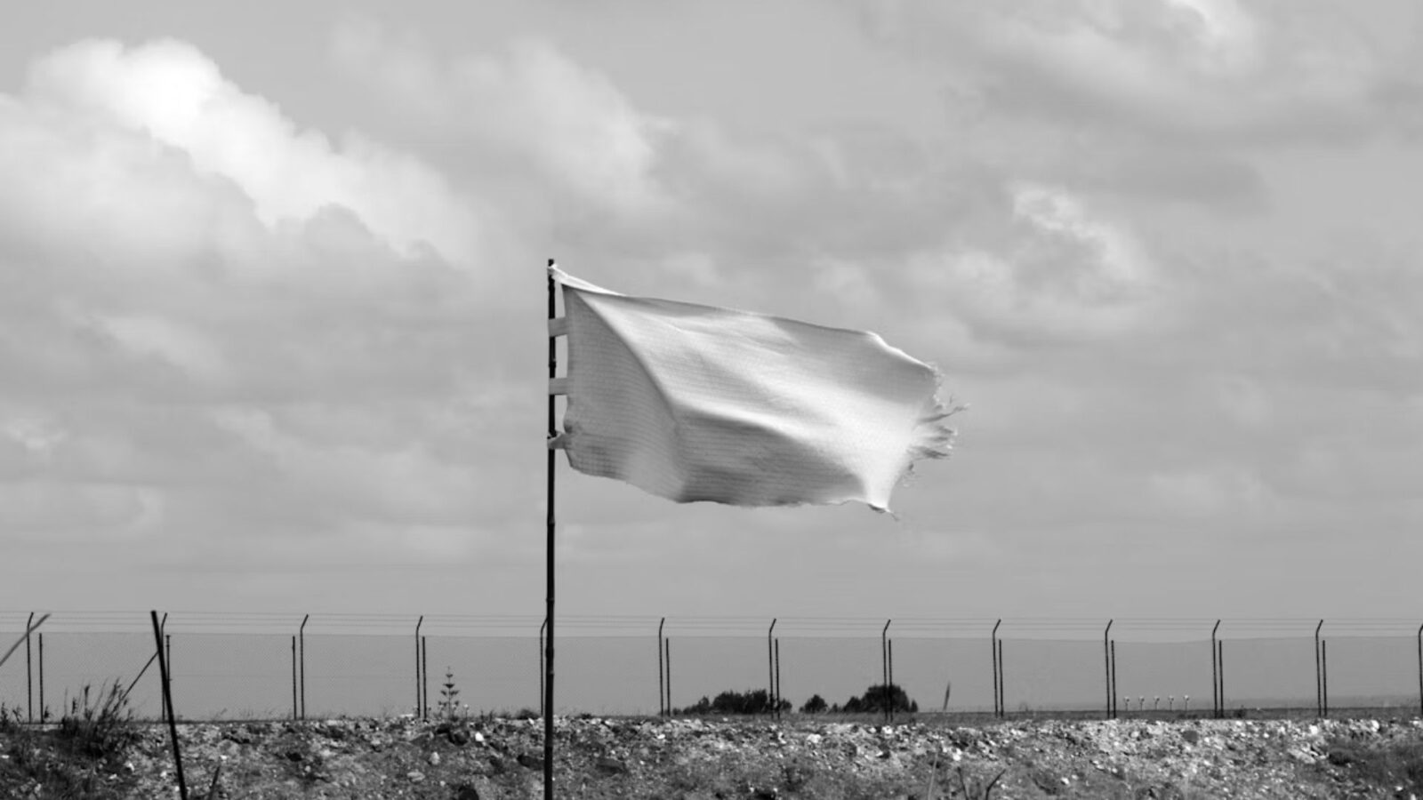 3. Un prince britannique a offert à Caligula une victoire facile en matière de propagande