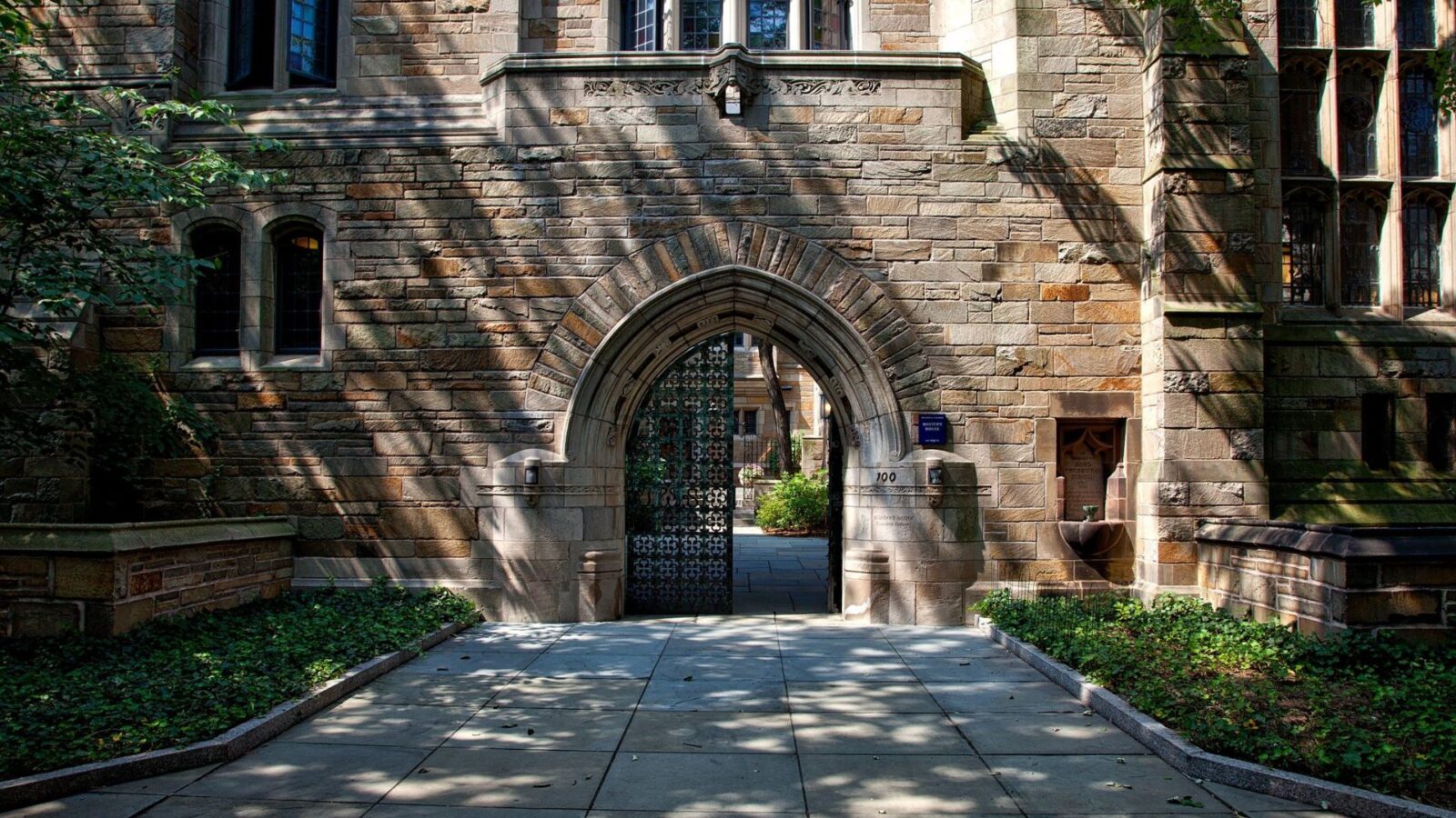 10. The Yale Investigation