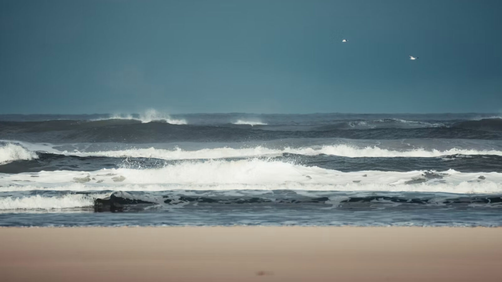 19. Les médecins prescrivaient le bord de mer pour « l’ozone »
