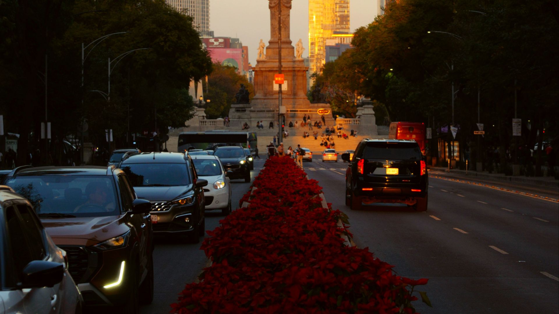 14. « Hoy No Circula »