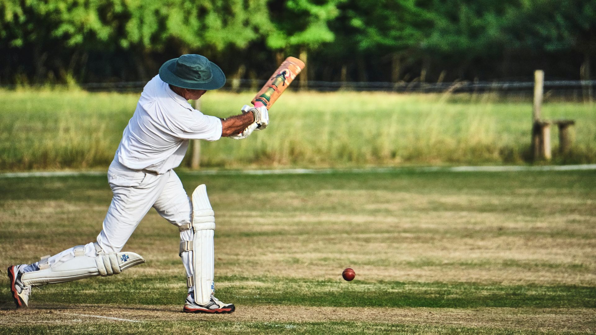 5. Le cricket aux États-Unis