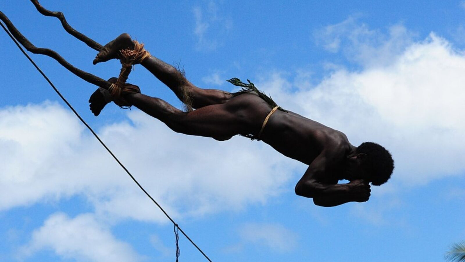 15. Taking The Plunge, Vine And All