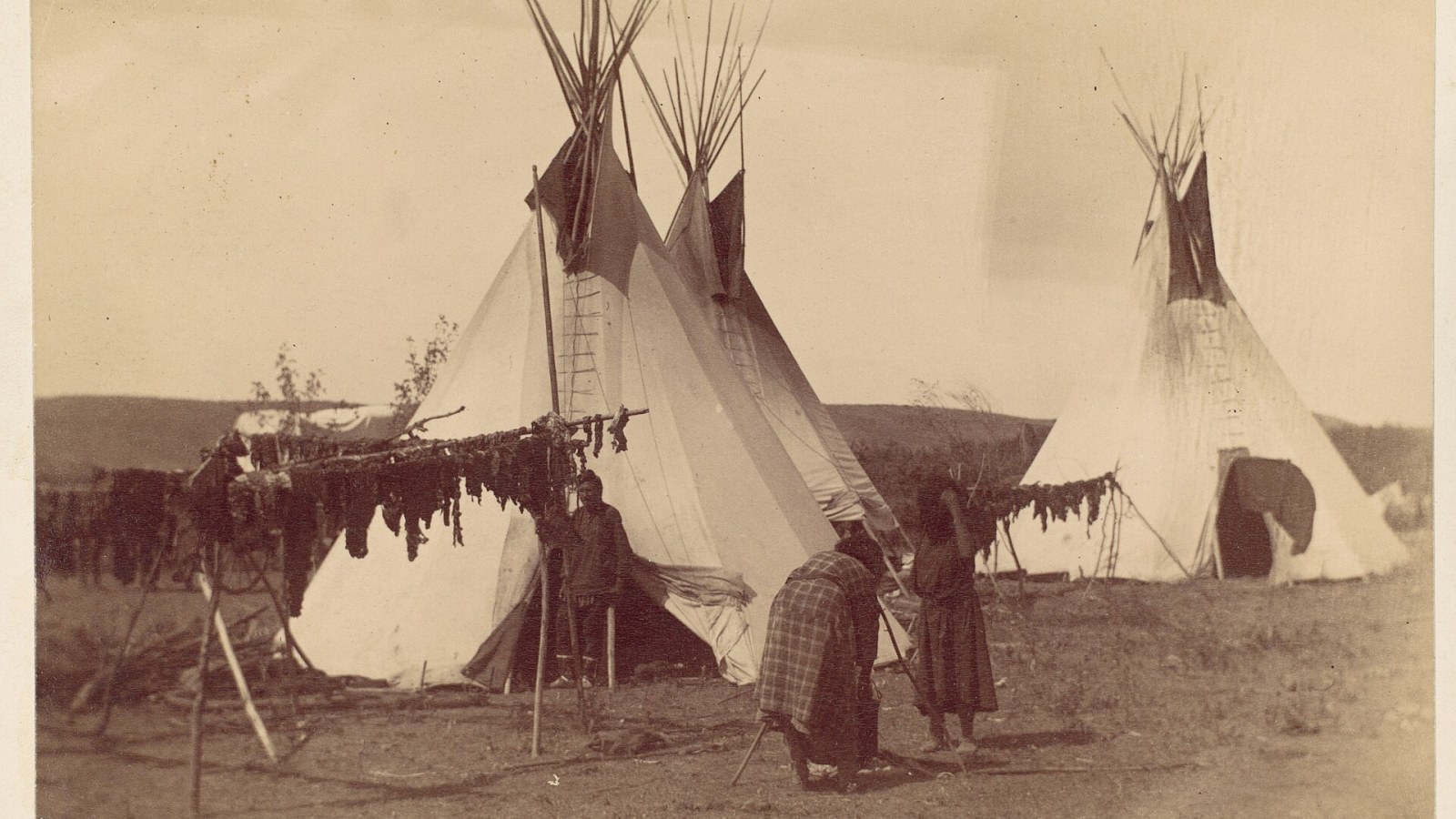 2. Le pemmican se conservait pendant des années grâce à sa teneur en graisse, et non par magie