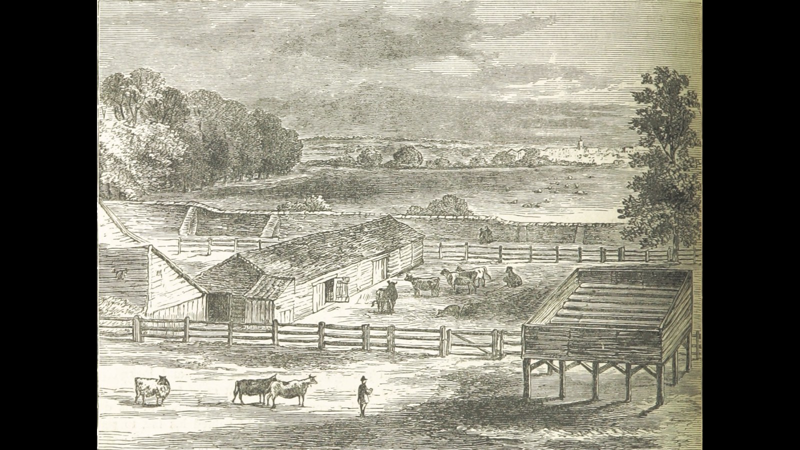 10. Perkin Warbeck affirmait être le duc d'York