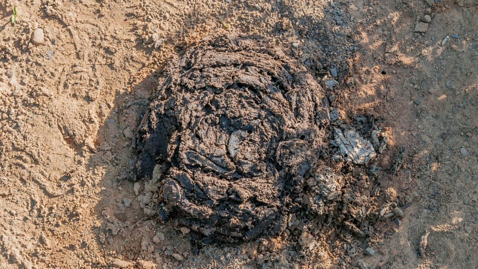 9. Hanging Cow Dung From The Bed Frame